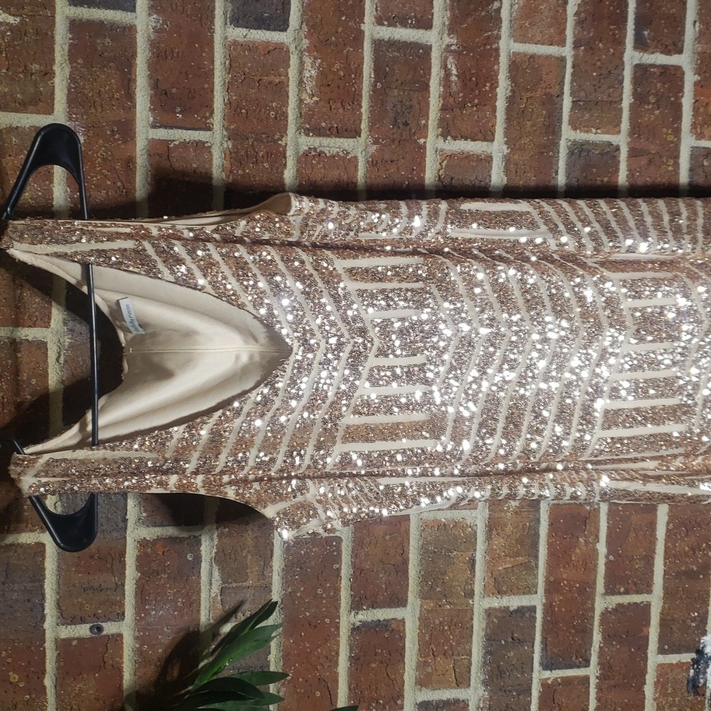 Charlotte Russe Sequins Dress.